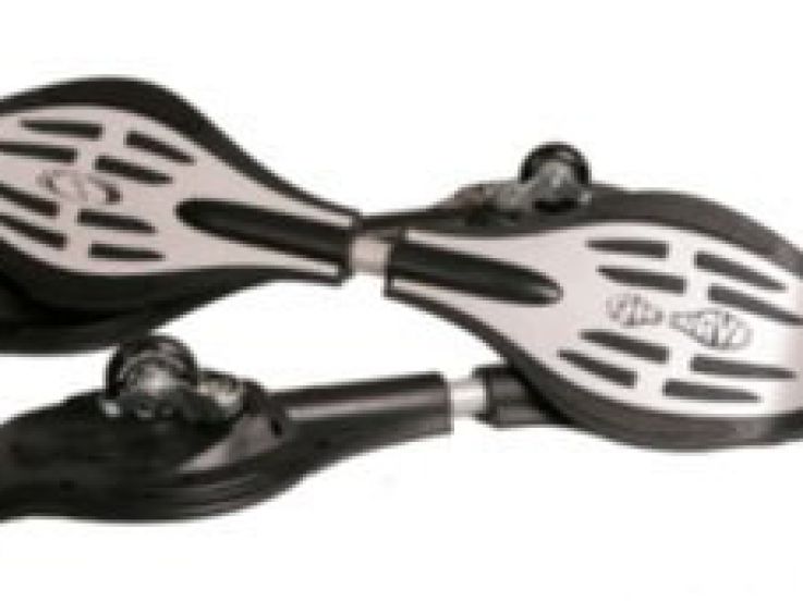 Un nouveau concept de glisse présenté à la Foire de Paris 2009 : le Street Surfing