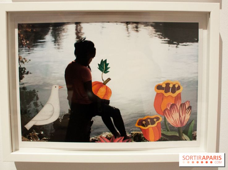 Photographier Paris à l'Hôtel de Ville