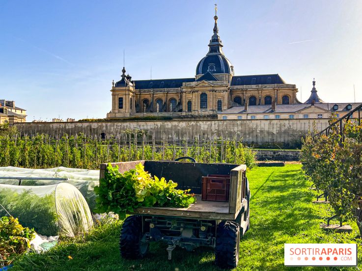 Les Saveurs du Potager du Roi à Versailles : marché de fruits & légumes, expositions et animations