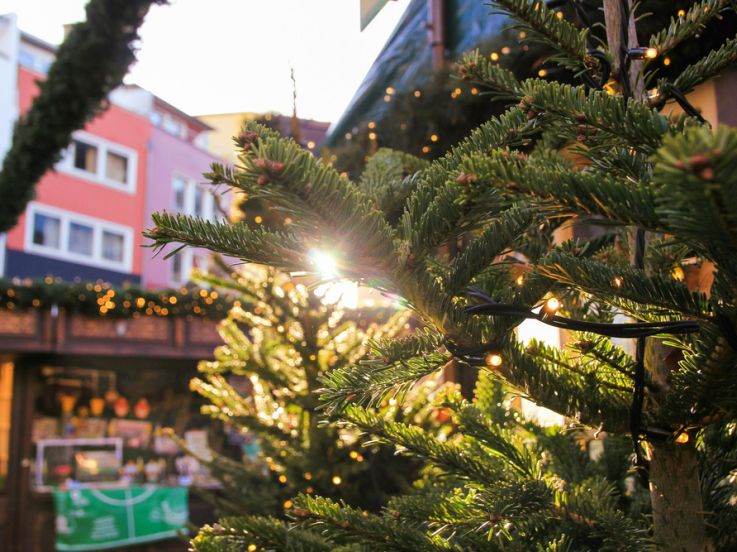 Marché de Noël Pontoise