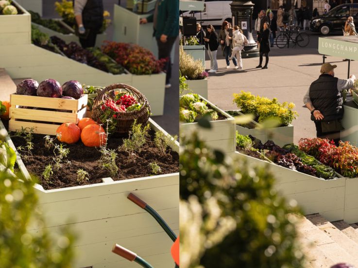 Insolite : Longchamp installe un potager éphémère sur le parvis de l'Opéra Garnier