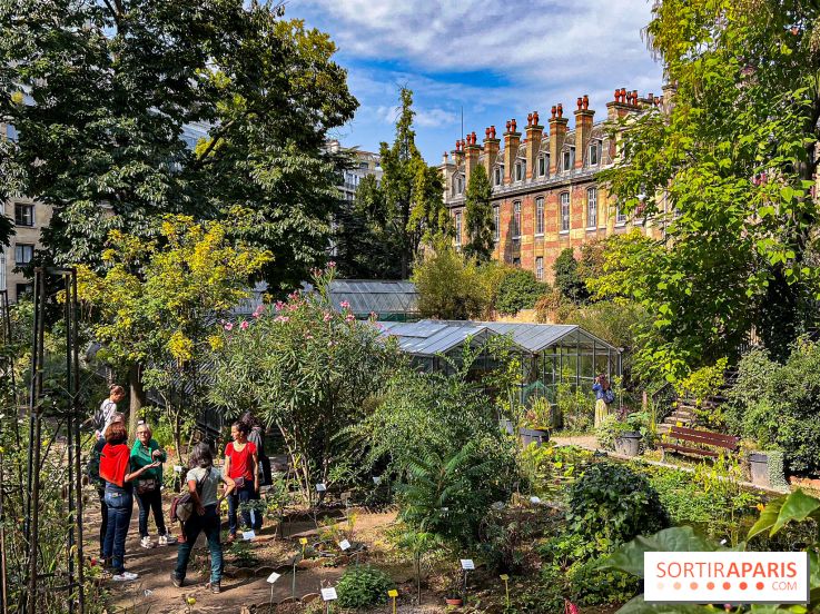 Le jardin botanique de la Faculté de Pharmacie en visite