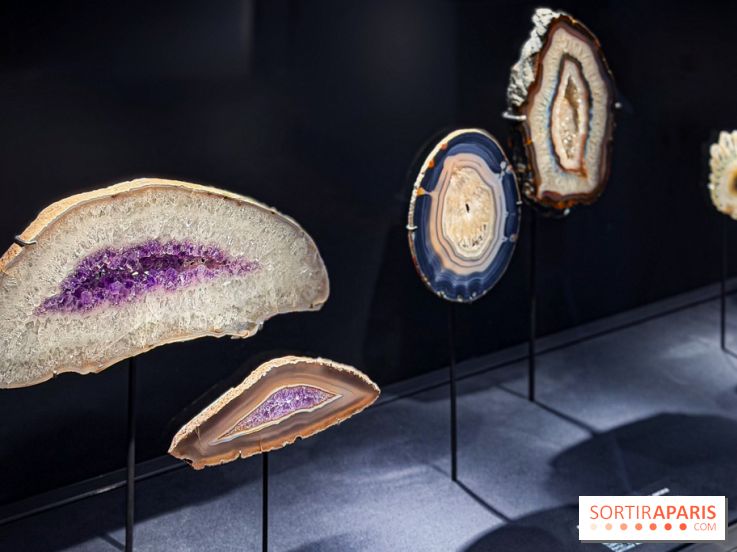 Rêveries de pierres : l'exposition rétrospective gratuite à l'Ecole des Arts Joailliers