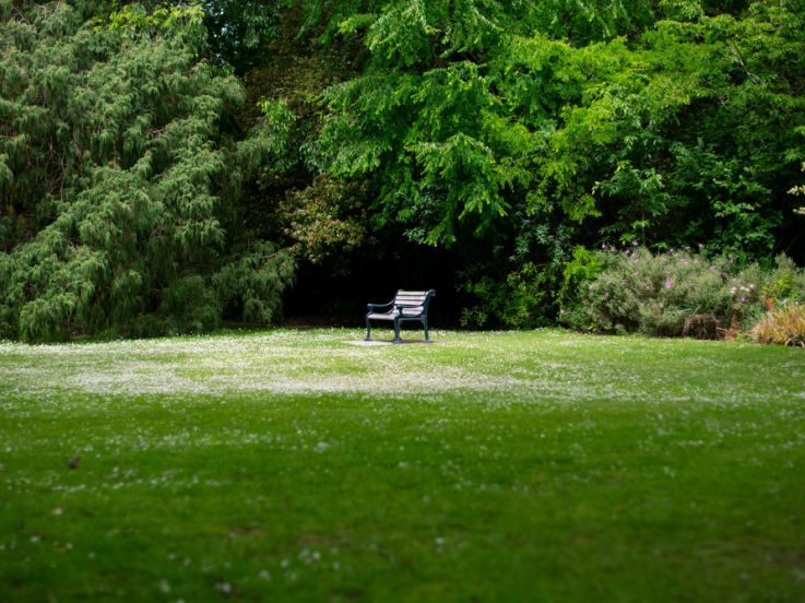 Le Parc du Chemin de l'Île