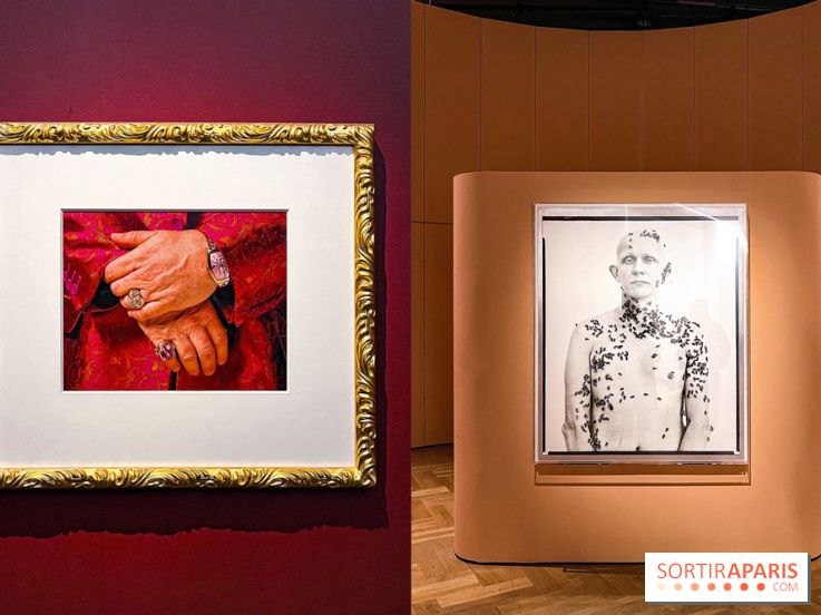 Fragiles beautés : la collection de photos d'Elton John exposée au Jeu de Paume