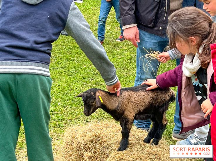 Festival de la Terre 2026 à Montesson (78) : marché des saveurs, ateliers jardinage & ferme pédagogique