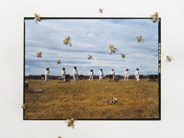Guerlain x UNESCO, "Piquées" une exposition photo engagée et inspirante