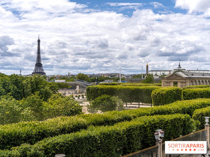 visuel Paris visuel  -  Tuileries - tour eiffel