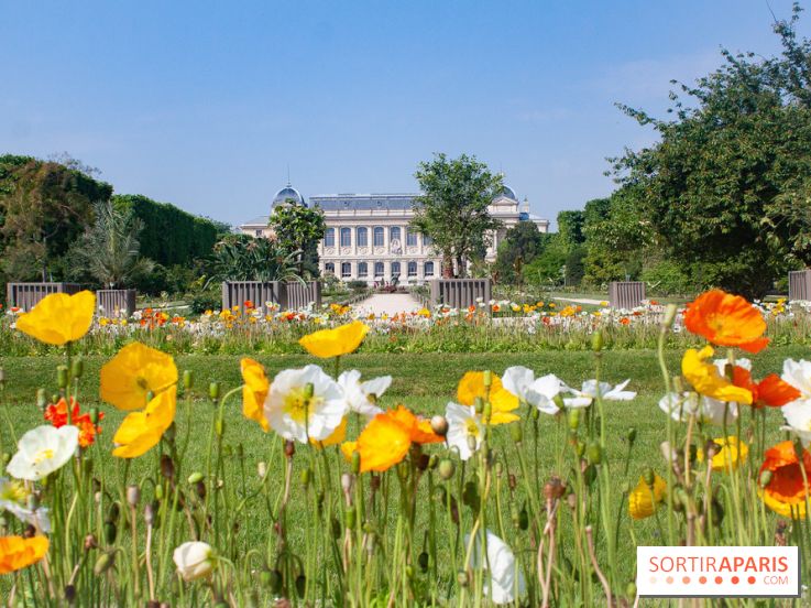 Visuel jardin des plantes Paris