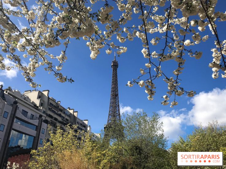 Visuel Paris, Tour Eiffel printemps