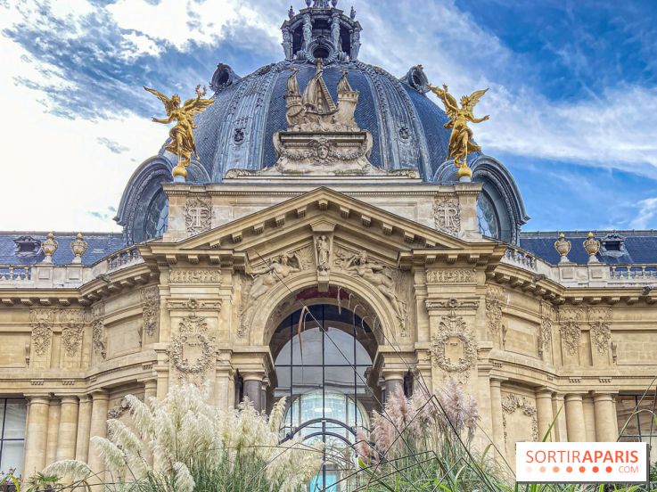 Visuel Paris Petit Palais