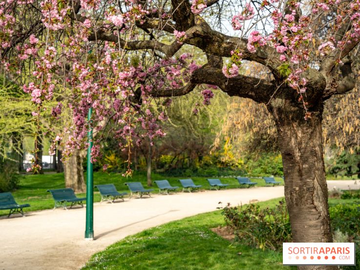 Visuel Paris arbres en fleurs, jardins, parc