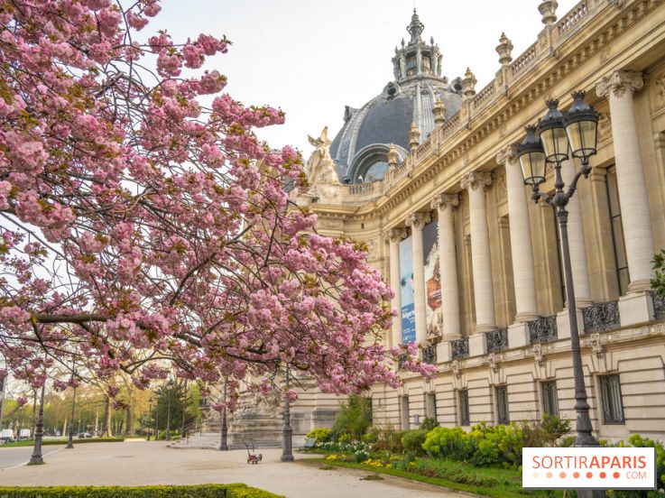 Visuel Paris arbres en fleurs, jardins, parc Petit Palais