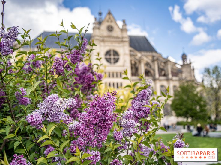 Visuel Paris Jardin Nelson Mandela Eglise Saint Eustache