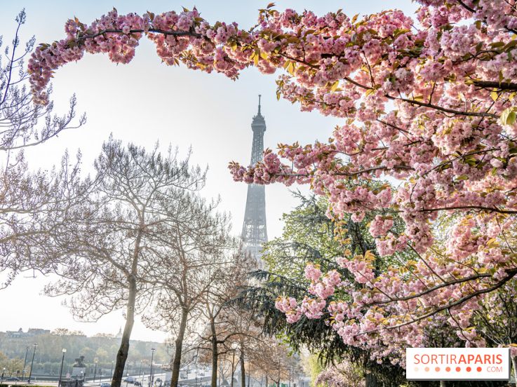 Visuel Paris Tour Eiffel cerisiers en fleurs
