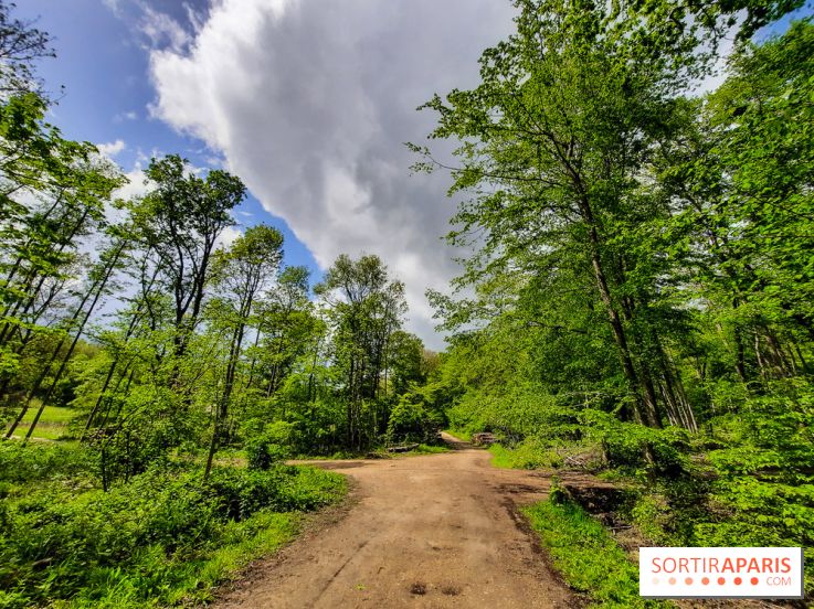 Visuel Paris balade forêt île de france