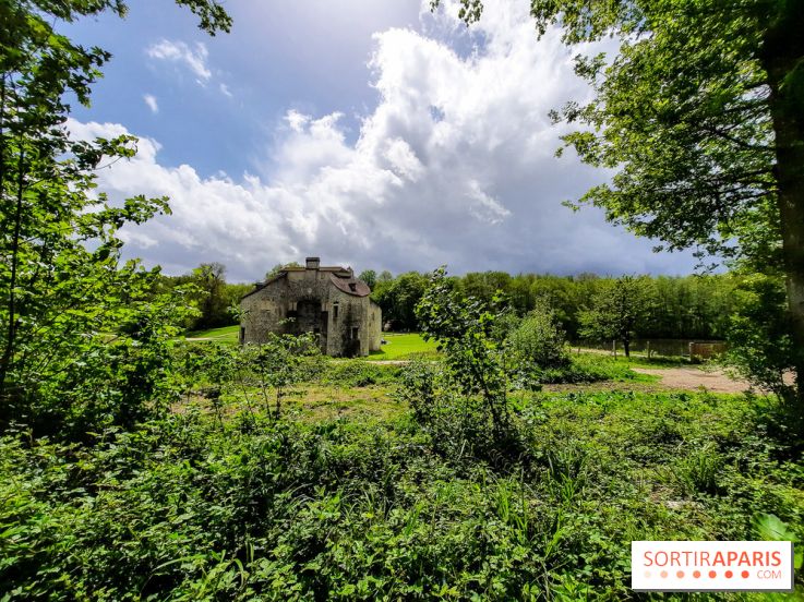 Visuel Paris balade forêt île de france