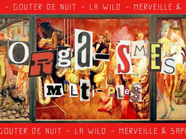 Orga-smes Multi-ples Collectifs à La Grande Surface