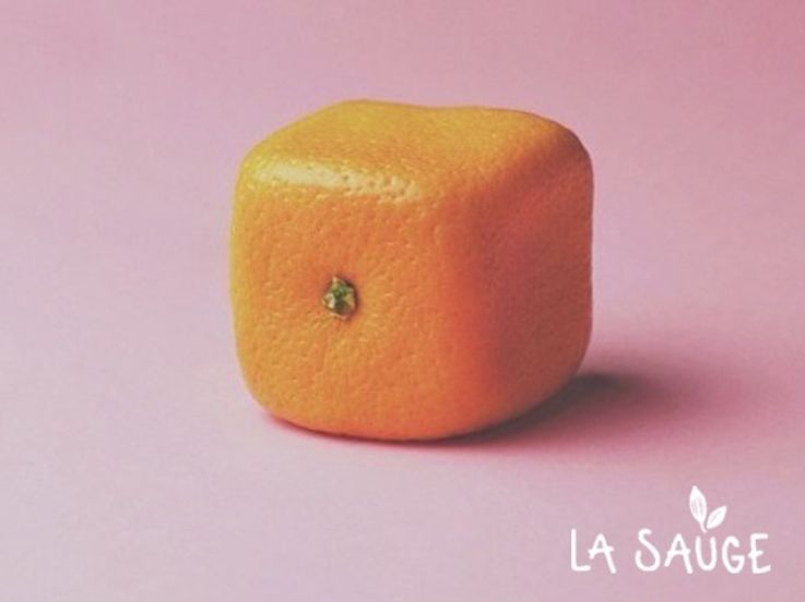 Cracki et La Sauge : Open Air #6 à la Prairie du Canal 