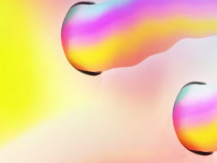 Newtrack Agency - House Family au Rex Club