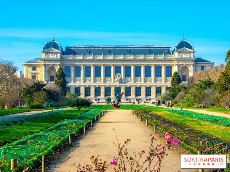 Mille et une Orchidées 2019 au Jardin des Plantes, les photos