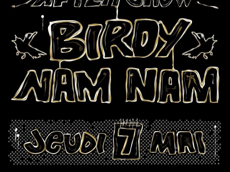Soirée, Paris,Toxic, After Show, Birdy Nam Nam, BNN
