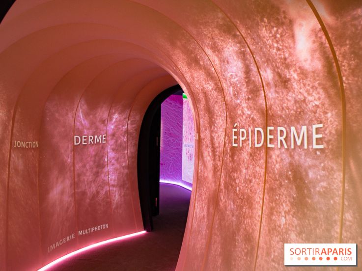 Dans ma peau au Musée de l'Homme : nos photos