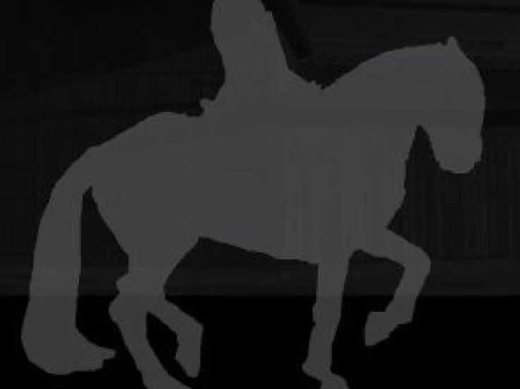 Lever de soleil, Bartabas, Cheval, Académie Equestre, Quartier d'été