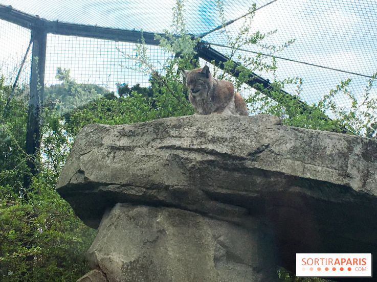 Parc Zoologique de Paris 2019