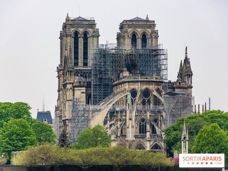Notre Dame de Paris, les photos des dégâts