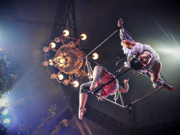 VIBRATION : spectacle immersif de danse contemporaine dans un cirque