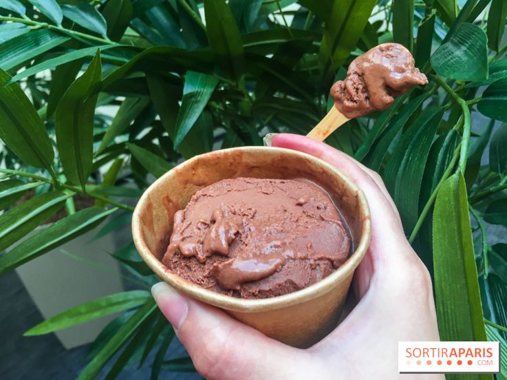 Les glaces au chocolat de Ducasse 