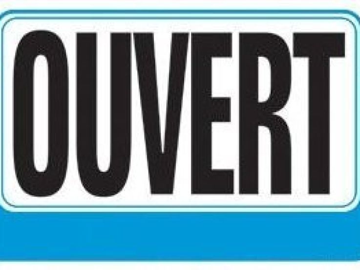 Travail du dimanche, Assemblée, UMP, zones touristiques et thermales