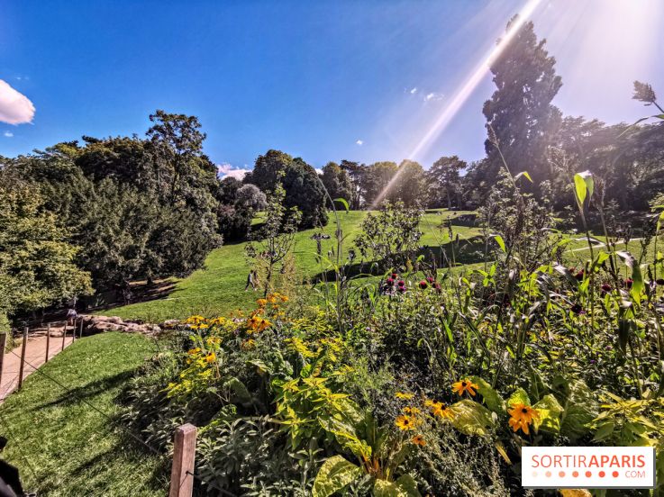 Parc des Buttes Chaumont