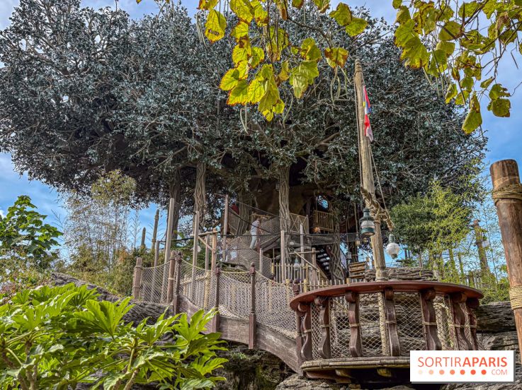 Visuels Disneyland Paris - La Cabane des Robinson