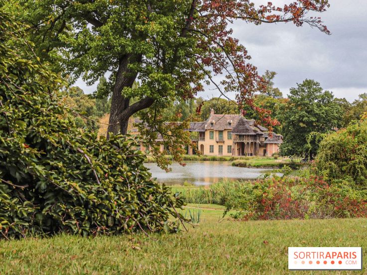 Le parcours des Arbres Admirables dans le domaine du château de Versailles