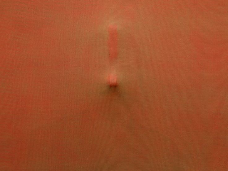 Nuit Blanche 2024 : une installation entre nature et culture à la Galerie Saint-Séverin