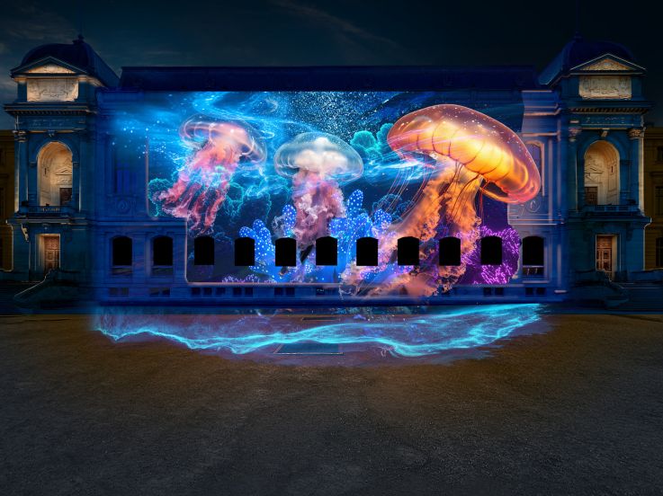 En voie d'illumination : le festival de lumières 2025-2026 au Jardin des Plantes - photos