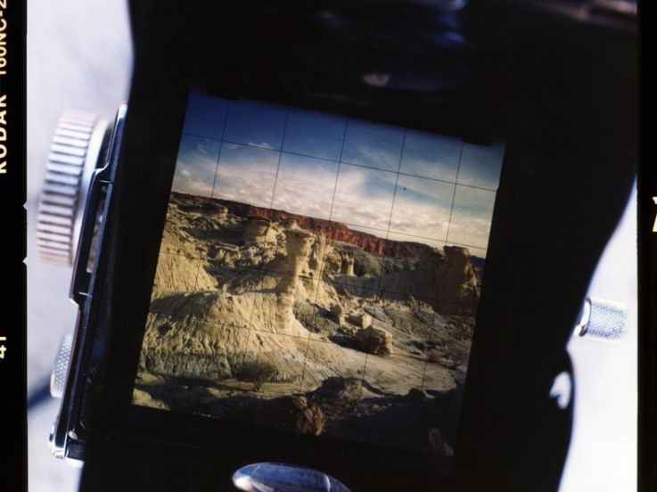 A toi appartient le regard (...) et la liaison infinie entre les choses, l'exposition au musée du Quai Branly