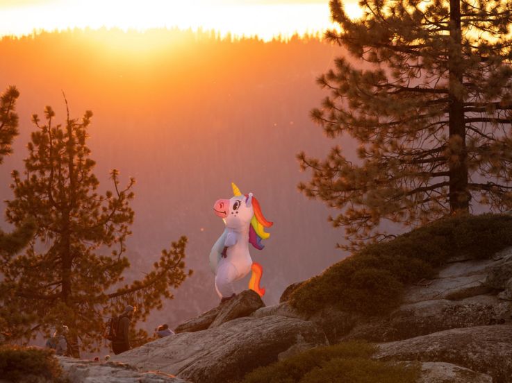 Journée mondiale de la licorne : d'où vient cet animal légendaire ?