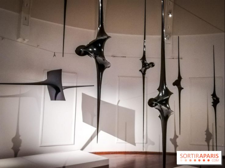 Le musée Guimet offre une Carte blanche à l'artiste Toshimasa Kikuchi