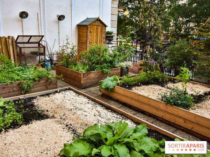 L'Hôtel des Grands Boulevards inaugure son potager suspendu