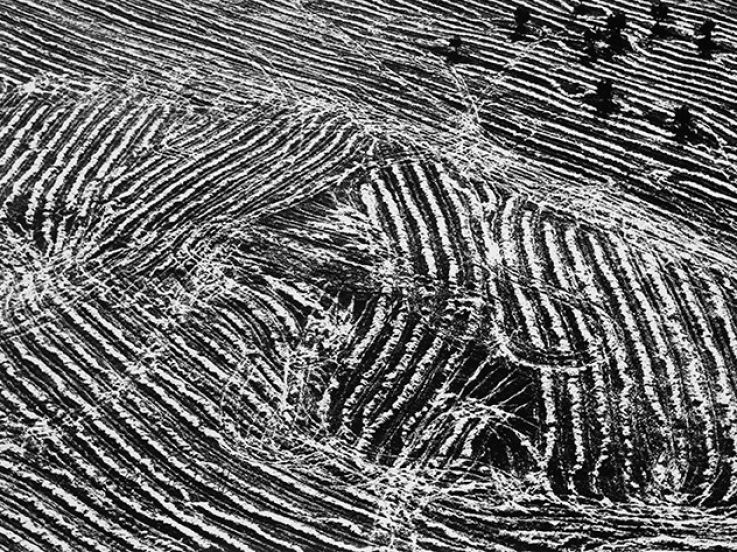 Exposition Mario Giacomelli - Paesaggio, Photographies 1960 - 1990