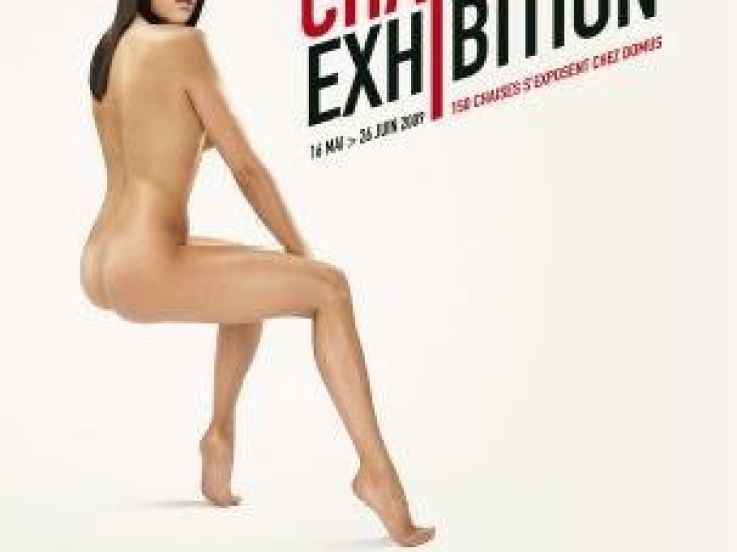 domus, exposition, maison, rosny