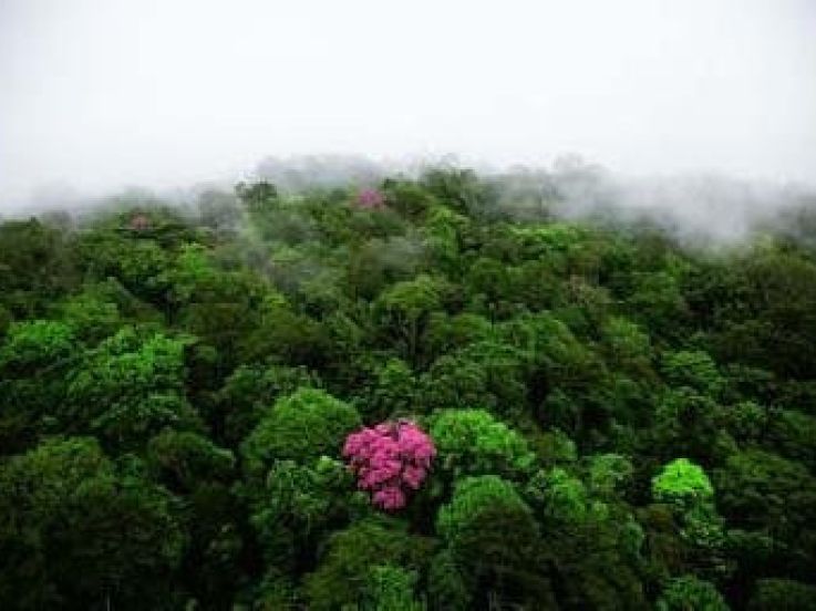 expo paris yann arthus bertrand