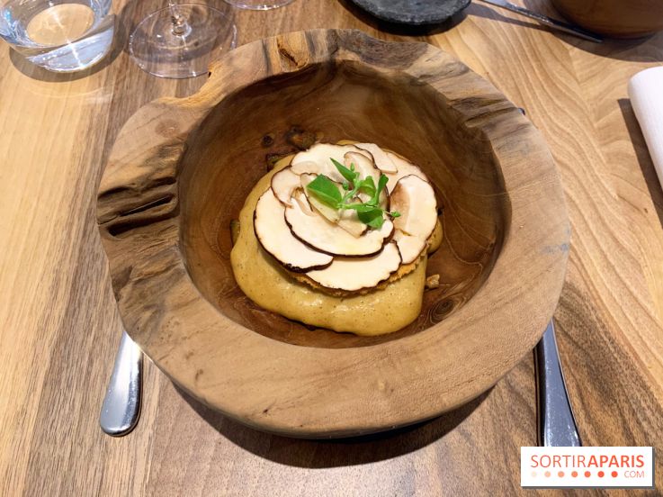 Origines - Julien Boscus 