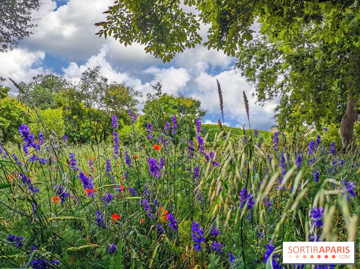 Visuel Paris Jardin des Plantes - Muséum MNHN