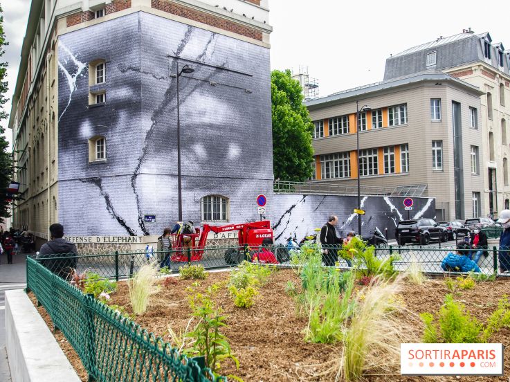 Hommage à Adama Traoré : l'artiste JR dévoile un collage géant à Paris, les photos