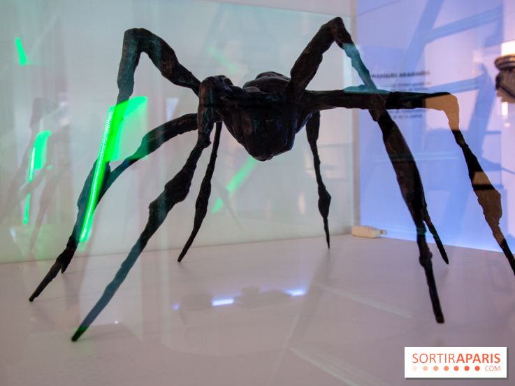 Araignées, Lucioles et Papillons au Musée en Herbe : nos photos