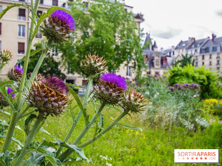 Le jardin des Arts-Albert Schweitzer à Paris, les photos